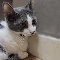 Thumbnail photo of Anette #2