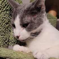 Thumbnail photo of Anette #3