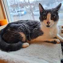 Thumbnail photo of Ida #3