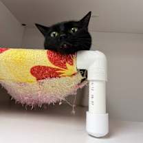 Thumbnail photo of Cat Condo # 24 Toothless #4