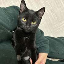 Thumbnail photo of Carla #3