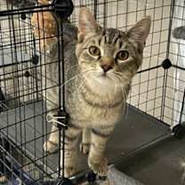 Thumbnail photo of Monty #1