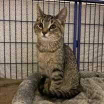 Thumbnail photo of Monty #2