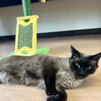 Thumbnail photo of Callum #4