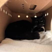 Thumbnail photo of Star #1