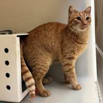 Thumbnail photo of Beto #2