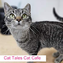 Thumbnail photo of Glory #1