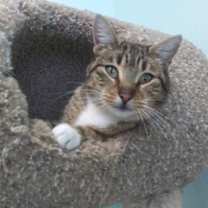 Thumbnail photo of Meadow #1