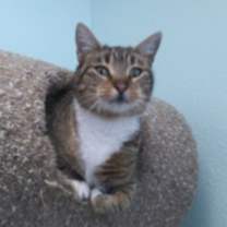 Thumbnail photo of Meadow #2