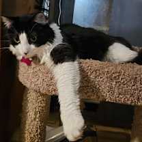 Thumbnail photo of SPICE #3