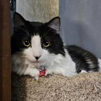 Thumbnail photo of SPICE #4