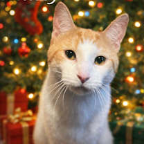 Thumbnail photo of Whitey #2