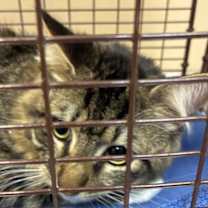 Thumbnail photo of Stuart #2