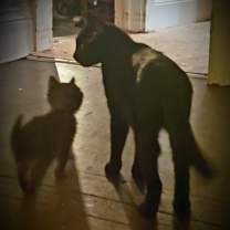 Thumbnail photo of Lil Miss (aka) Princess Pepa #3