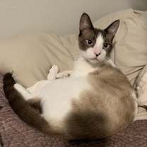 Thumbnail photo of pretty girl #1