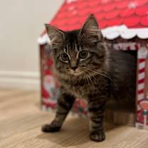 Thumbnail photo of Long Island #2