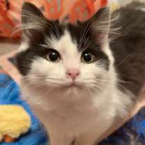 Thumbnail photo of Carol (Stella) #1