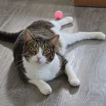 Thumbnail photo of Mars #1