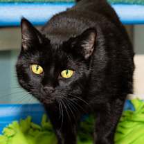 Thumbnail photo of Nairobi #1