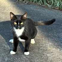 Thumbnail photo of Micky #1