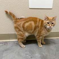 Thumbnail photo of Spirit #2