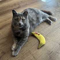 Thumbnail photo of Max #1