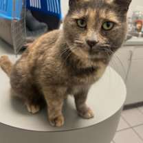 Thumbnail photo of Max #2