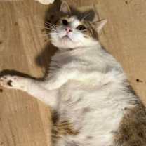 Thumbnail photo of Jill #3