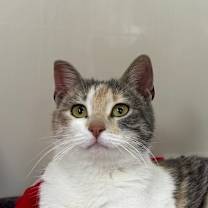 Thumbnail photo of Heidi #2