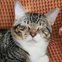 Thumbnail photo of KC #2