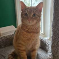 Thumbnail photo of Peppermint25 #3