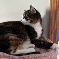 Thumbnail photo of Autumn #2