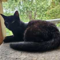 Thumbnail photo of Barry #3