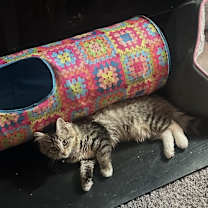 Thumbnail photo of Ona #1