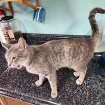 Thumbnail photo of Oceania #3