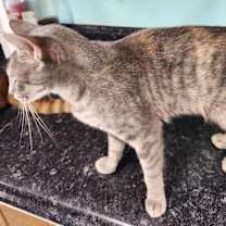 Thumbnail photo of Oceania #4