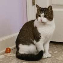 Thumbnail photo of Princess #3