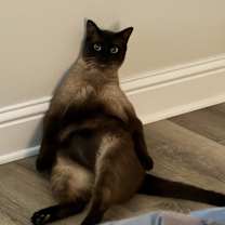 Thumbnail photo of Spooky #3