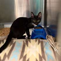 Thumbnail photo of Weezy #1