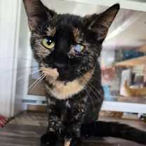 Thumbnail photo of Babs #2