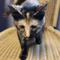 Thumbnail photo of Madison Lou #4