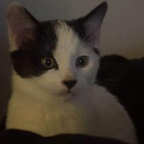 Thumbnail photo of Snow #1