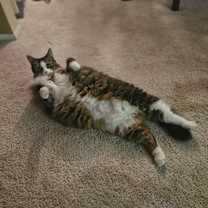 Thumbnail photo of Logan #4