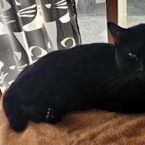 Thumbnail photo of Spot #2