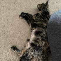 Thumbnail photo of Margaret #3