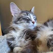 Thumbnail photo of Hester #1