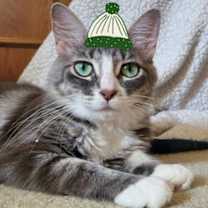 Thumbnail photo of Hester #3