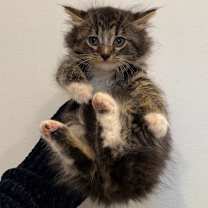 Thumbnail photo of Story #2