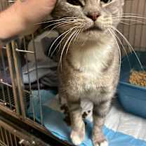 Thumbnail photo of Sissy #4