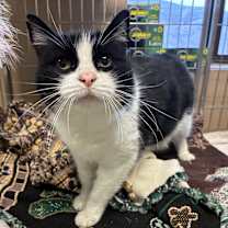 Thumbnail photo of Lydia #1